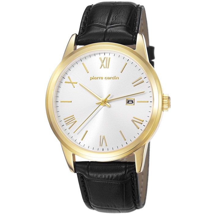 PIERRE CARDIN PC106661F03